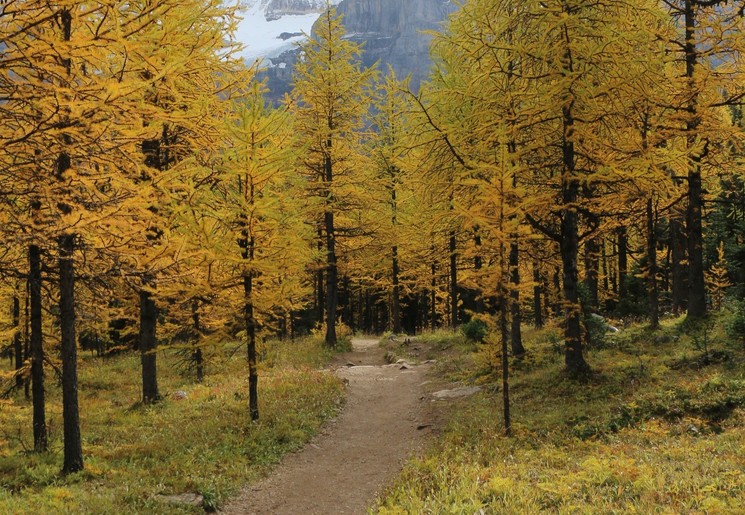 In Banff National Park kun je heel mooi wandelen