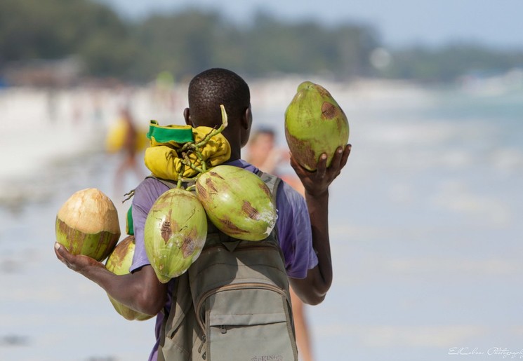 Kokosnoten verkopers op het strand bij Baobab Beach Resort bij Mombasa