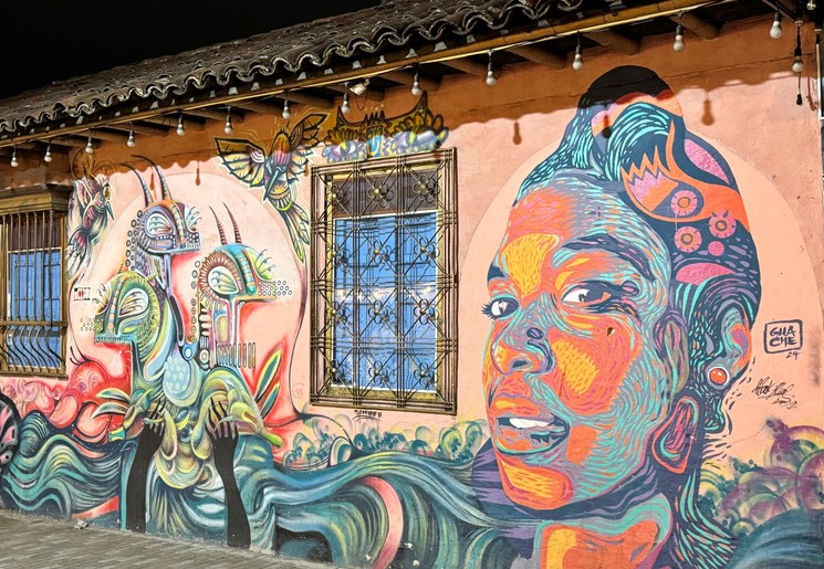 Bekijk de streetart in Bogotá, Colombia