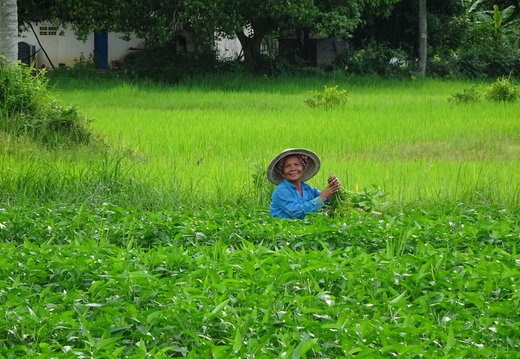 Plattelandsleven in Cambodja