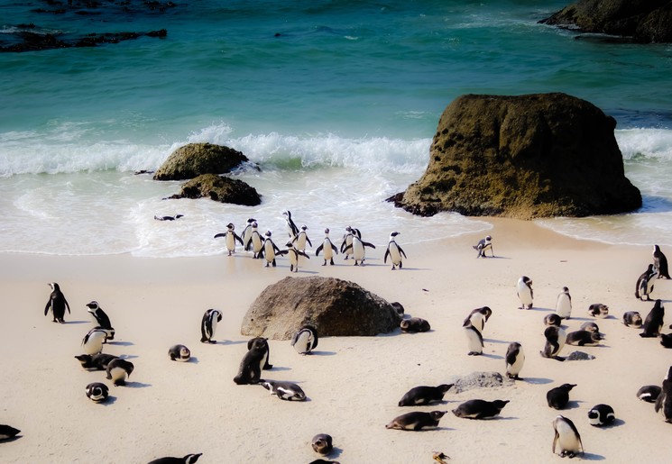 Bezienswaardigheden in Zuid-Afrika die je niet mag missen