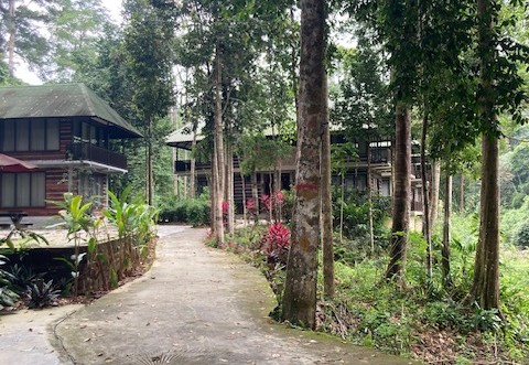 Endau Rompin Rainforest Lodge