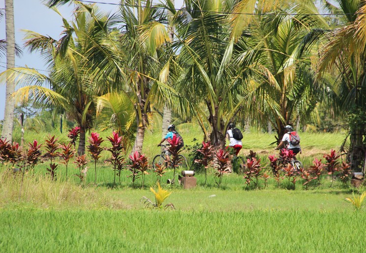 Fietsen door Blayu, Bali