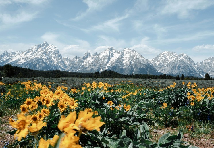 Prachtige Panorama's in Grand Teton National Park