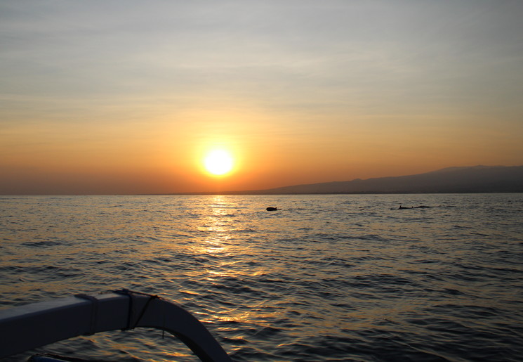indonesie-bali-lovina-zonsopkomst-dolfijn