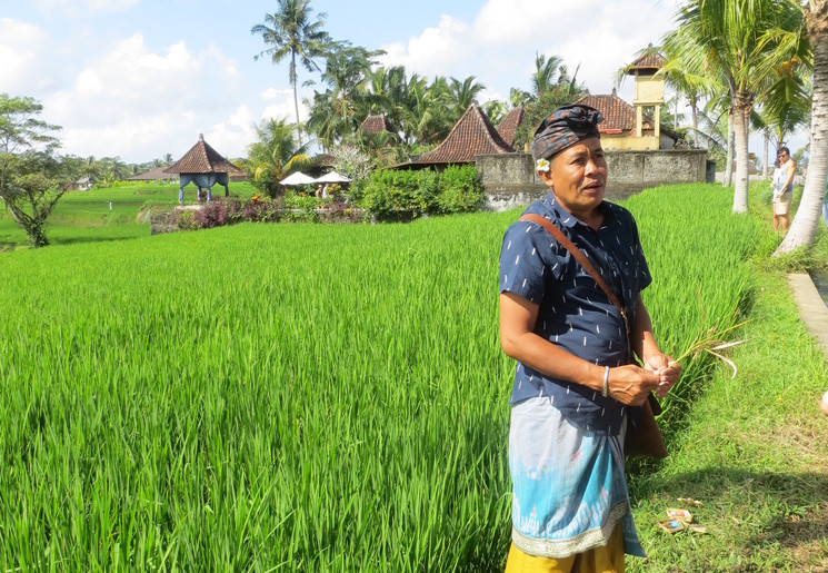 indonesie-bali-ubud-balinese-gids