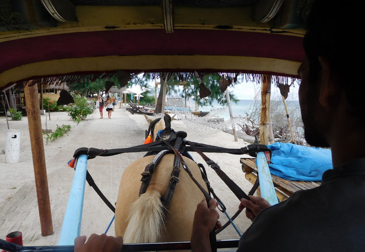 indonesie-lombok-gili-meno-cimodo_1_462715