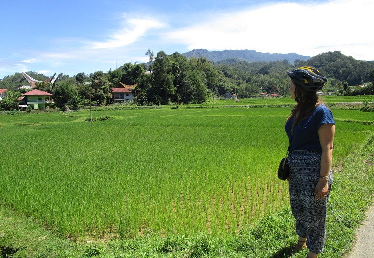 indonesie-sulawesi-torajaland-fietsen