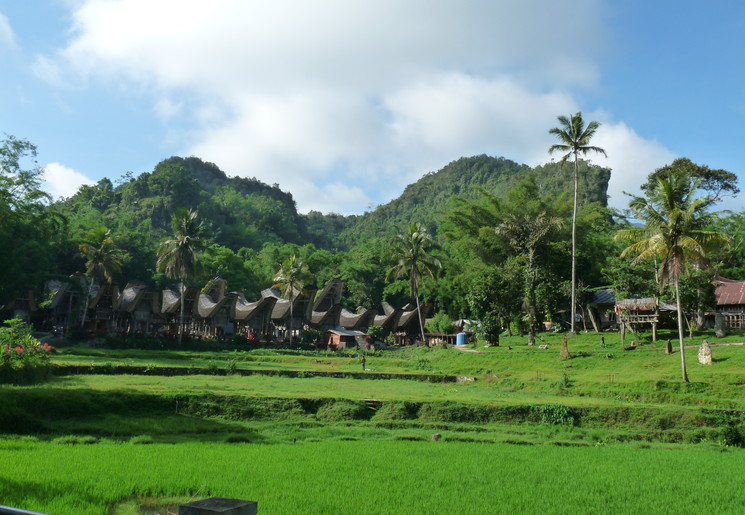 indonesie-sulawesi-torajaland-zadeldaken1