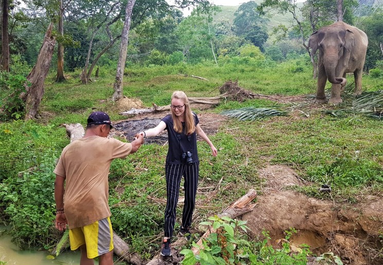 indonesie-sumatra-barumun-nagari-olifanten