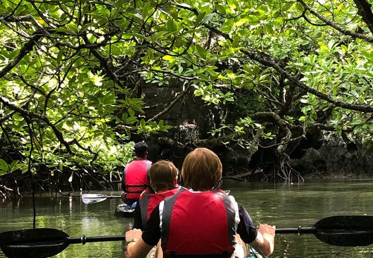Kanotocht in de Mangroves, Langkawi