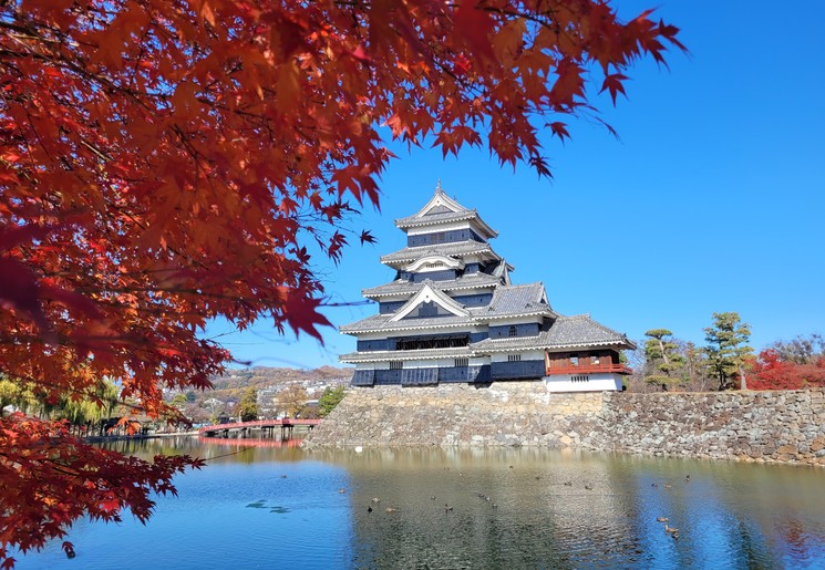 Matsumoto kasteel omgeven door de Japanse herfstkleuren