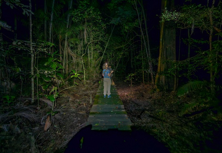 Een nachtwandeling in Kinabatangan Wildlife Reservaat, Maleisisch Borneo