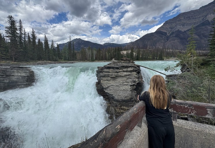 Athabasca-waterval in Jasper National Parf
