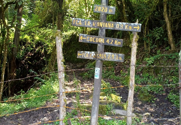 Maak een wandeling door de Cocora Vallei, Colombia