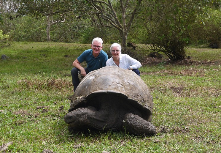 Reuzenschildpad op Santa Cruz, Galapagoseilanden