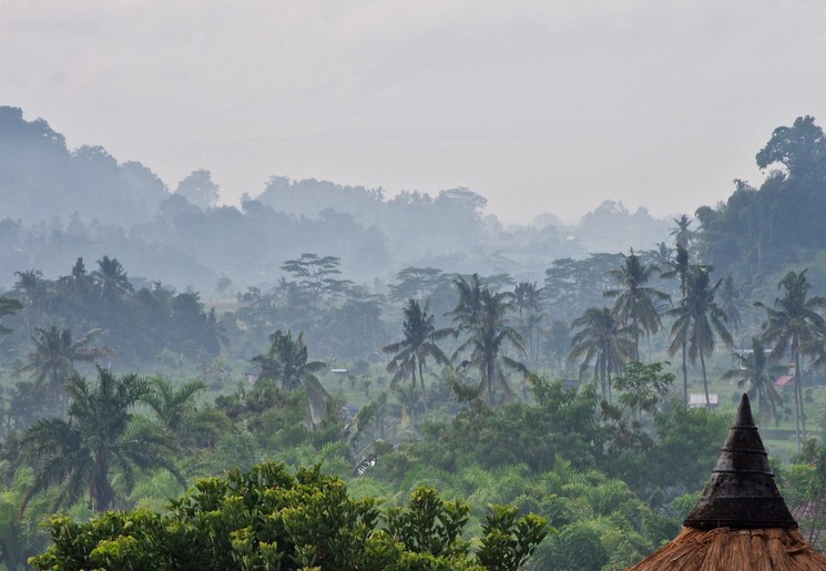 Uitzicht vanuit de accommodatie in Sidemen, Bali