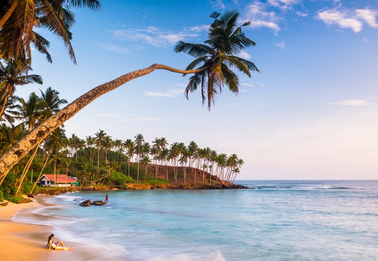Strand Mirissa met palmbomen, blauwe lcuht en helder water