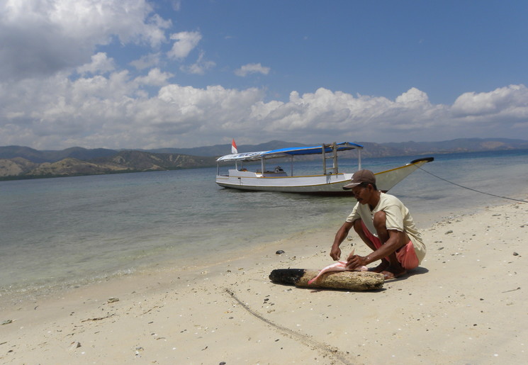 Varen bij Riung, de noordkust van Flores, Indonesie