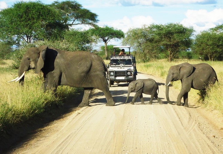 Op familie safari door Tanzania