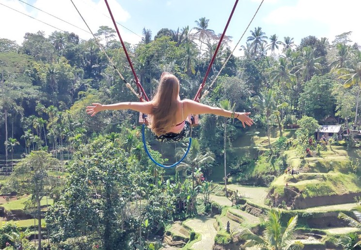 Schommelen boven de Alas Harum rijstvelden