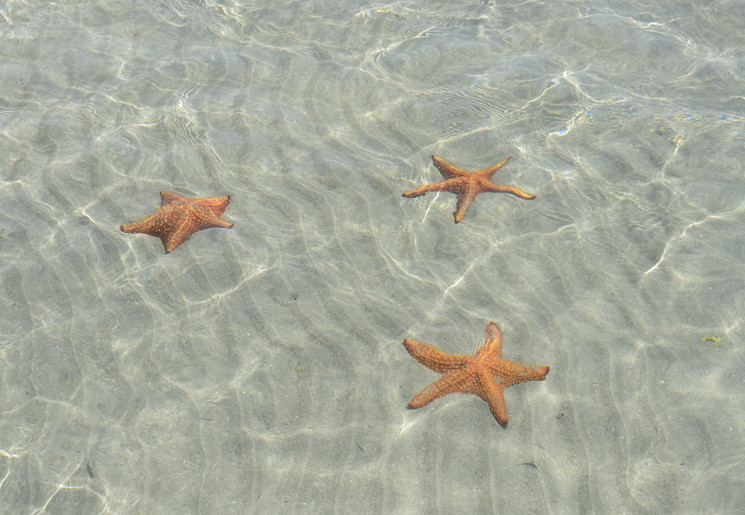 Kijk je ogen uit in de onderwaterwereld van de San Blas-eilanden