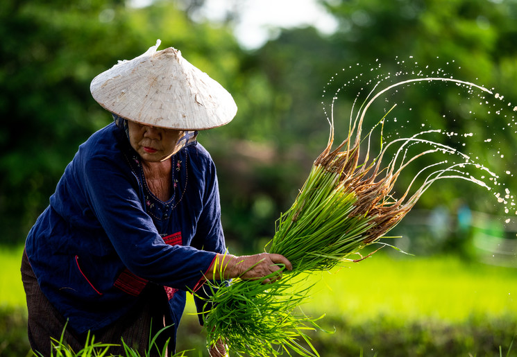 Ontdek de geheimen van Thailand tijdens deze veelzijdige rondreis