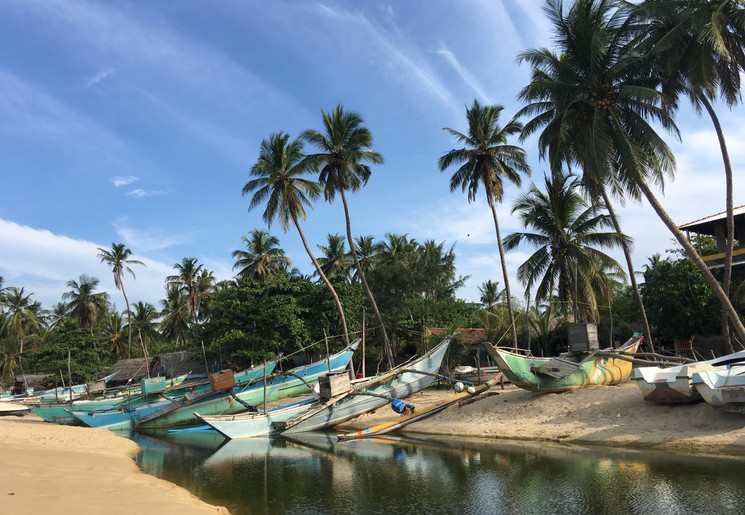 Strand met bootjes en palmbomen Arugam Bay