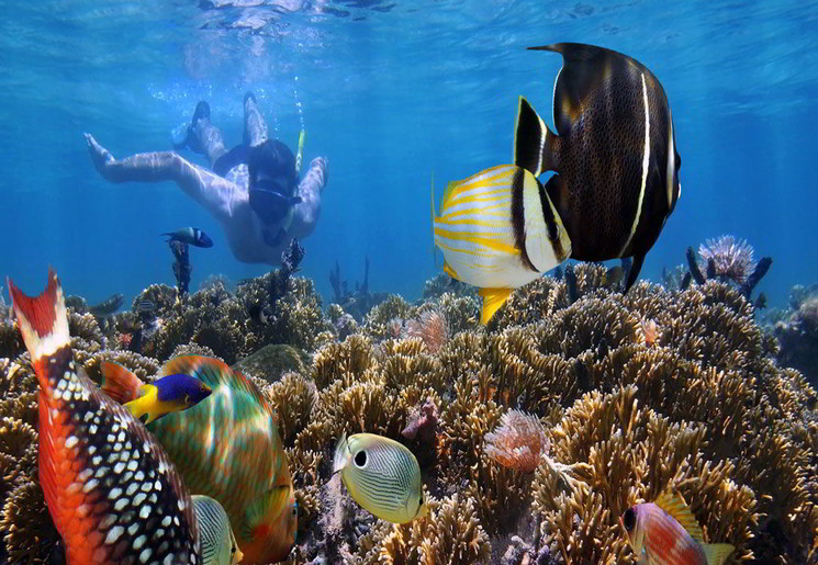 10 favoriete duikbestemmingen van onze reizende collega's