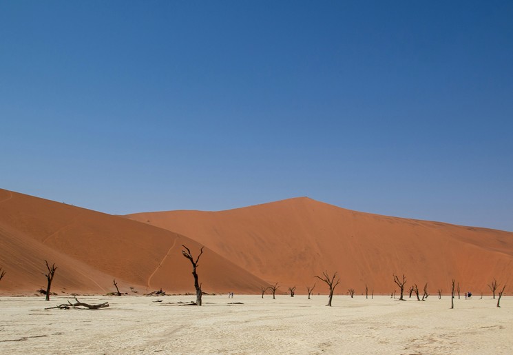 De prachtige Sossusvlei in Namibië ontdek je ook tijdens deze rondreis