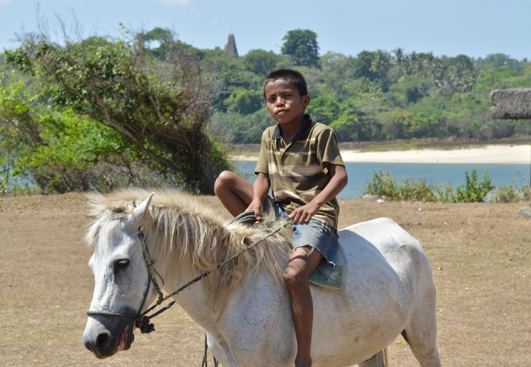Ratenggaro Village, Sumba Indonesië
