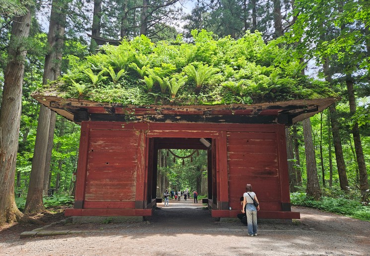 Zuishinmon Gate, Togakushi