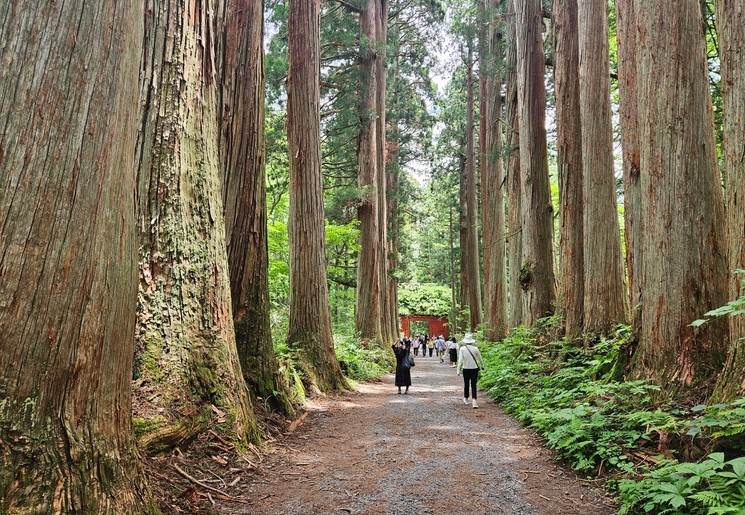 Zuishinmon Gate tussen de hoge bomen