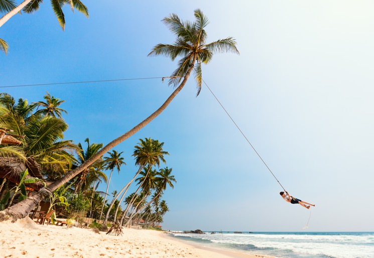 Slinger aan een palmboom op het strand Unawatunain Sri Lanka Slinger aan een palmboom op het strand Unawatunain Sri Lanka