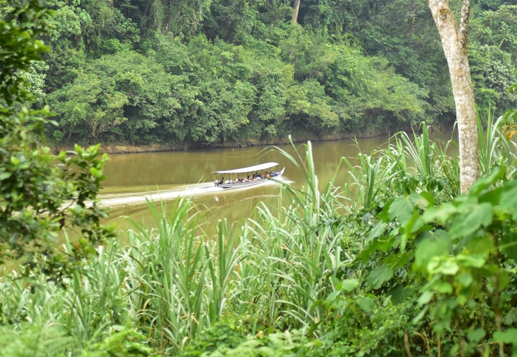 Varen in Taman Negara, Maleisie