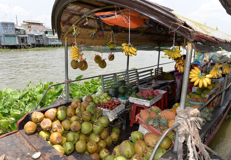 vietnam-mekongdelta-fruit-boot