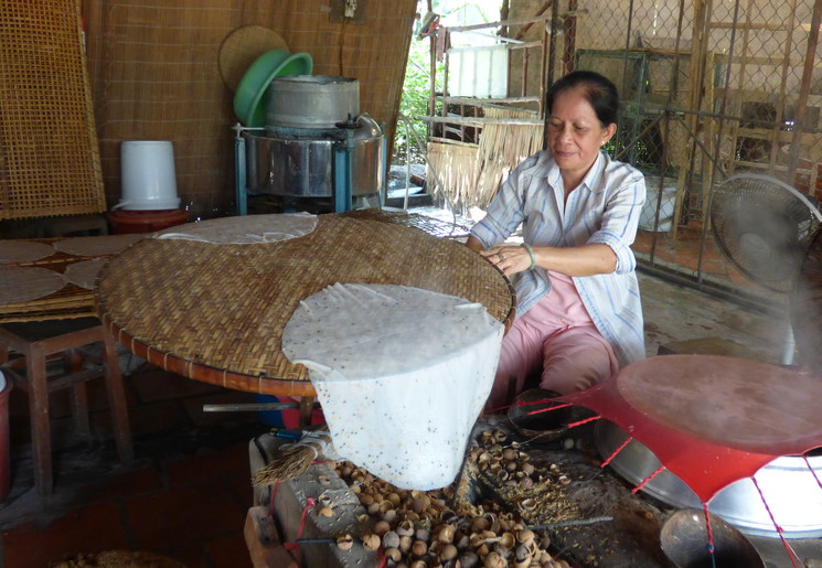 Lokale vrouw in rijstnoodle fabriek, Can Tho