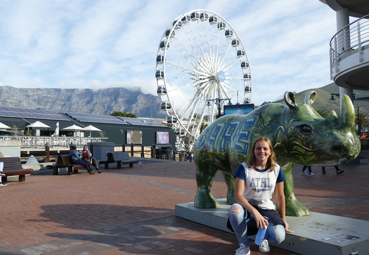 Reuzenrad bij V&A Waterfront in Kaapstad