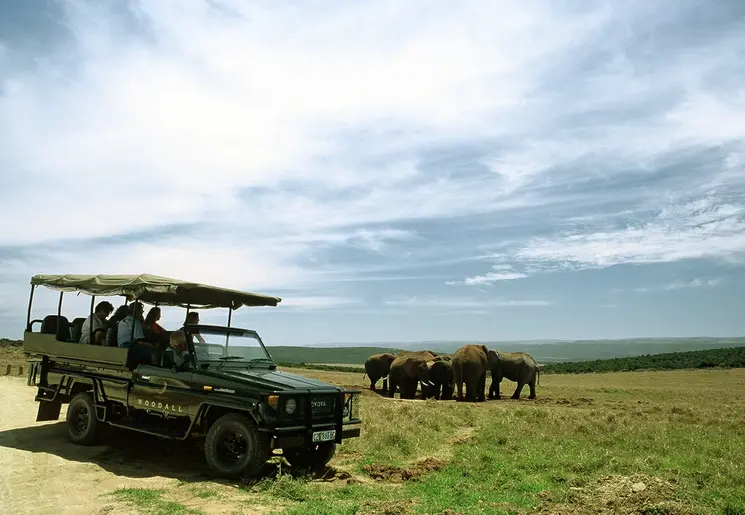 Op safari in Addo Elephant National Park