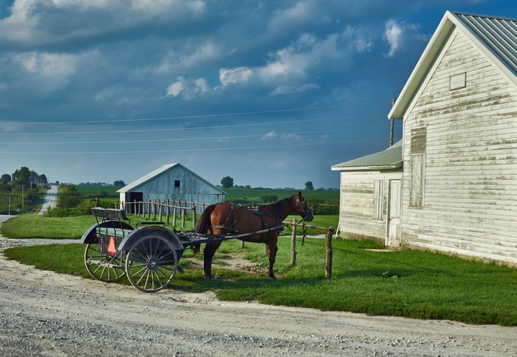 Paard en wagen van de Amish in Lancaster