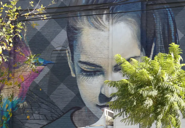 Argentinie-Buenos-Aires-streetart
