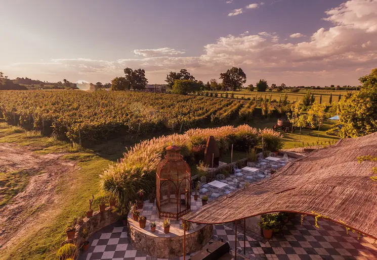 Uitzicht over de wijnvelden bij de Narbona Wine Lodge, Carmelo, Uruguay