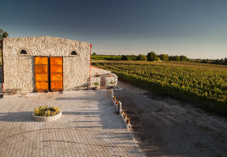 Uitzicht over de wijngaarden bij Carmelo Narbona Wine Lodge in Carmelo in Uruguay