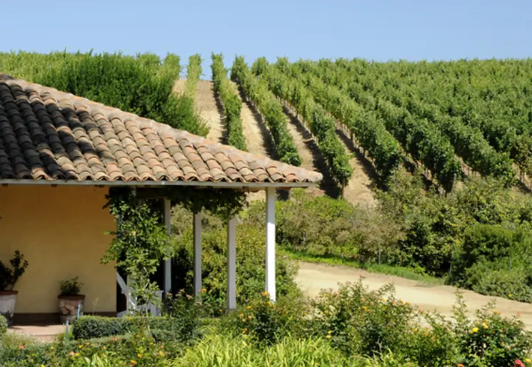 172513f4-4e91-4952-a48c-10325c92a513