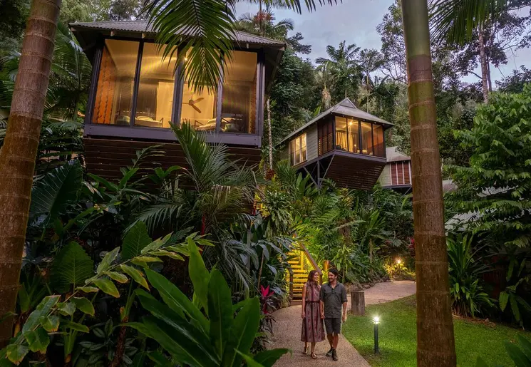 Verblijf in Daintree Rainforest, Australie Verblijf in Daintree Rainforest, Australie