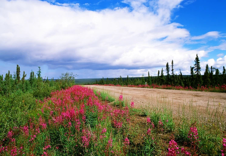 Over de Dempster Highway naar Eagle Plains, Yukon, Canada