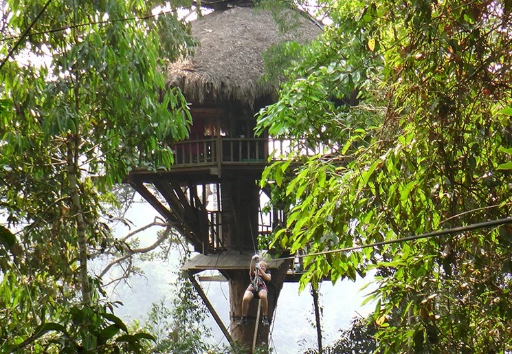 Zoef met de zipline door de jungle in Laos