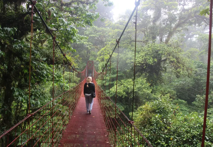 Hangbrug-Monteverde-2(11)