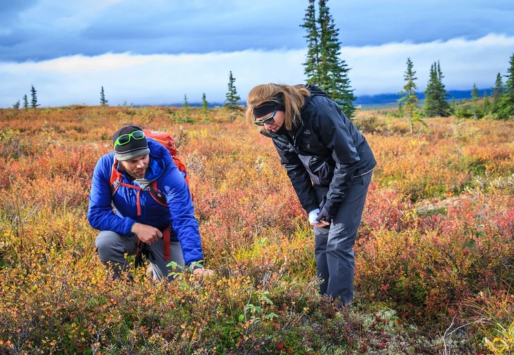 Met een gids op pad bij Kantishna Roadhouse, Alaska