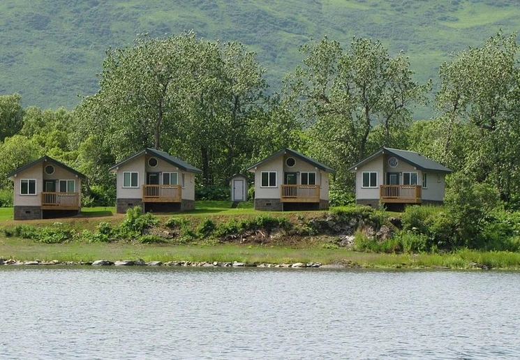Kodiak Brown Bear Center Kodiak Brown Bear Center